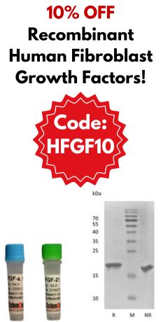 10% off human fgf protein