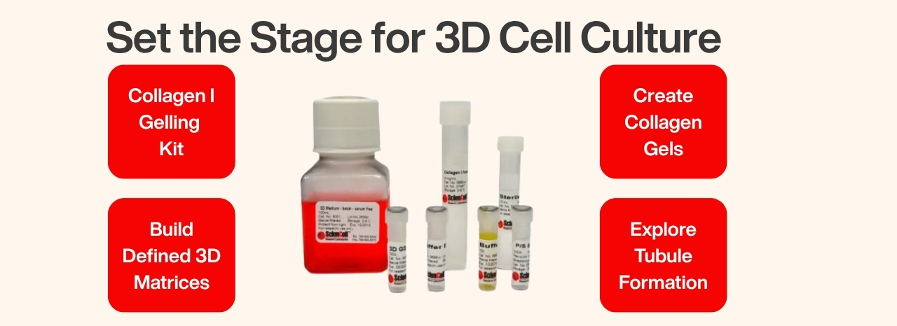 3D Cell Culture