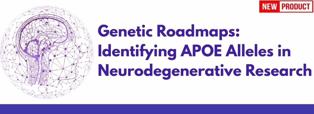 Genetic Roadmaps: Identifying APOE Alleles in Neurodegenerative Research