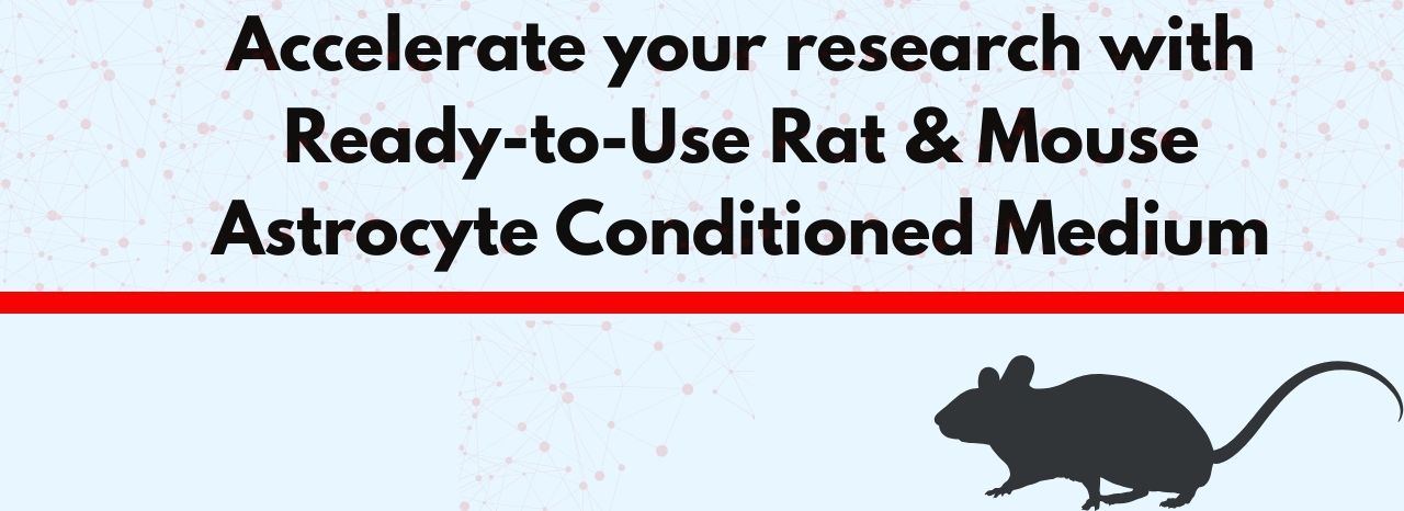 Astrocyte Conditioned Medium