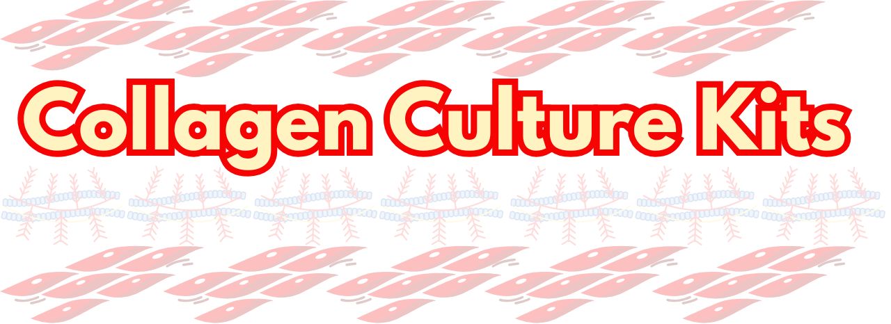 Collagen Culture Kits