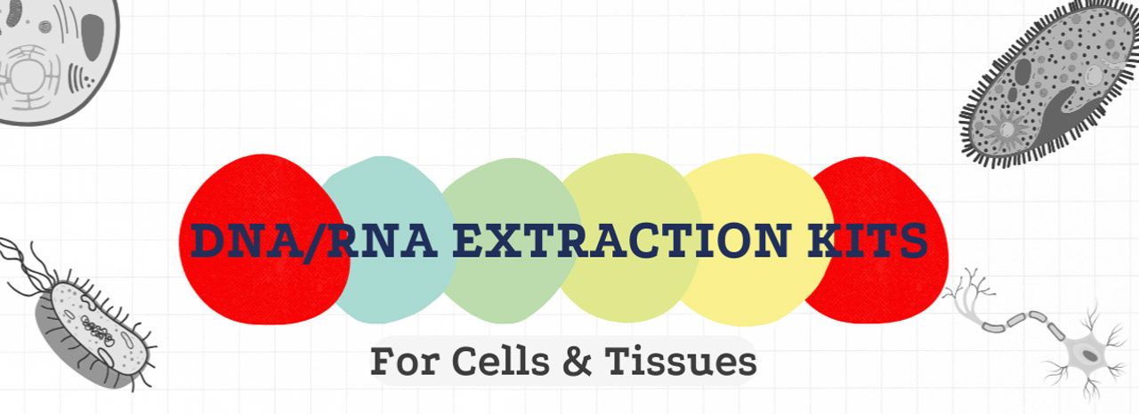 DNA/RNA Extraction Kits