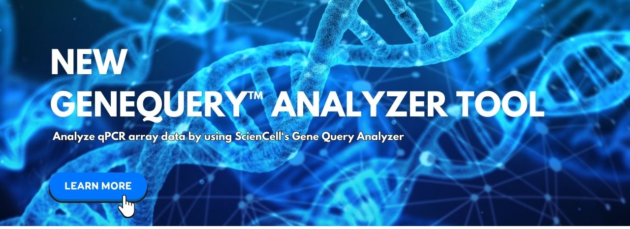 Try our new GeneQuery Analyzer Tool