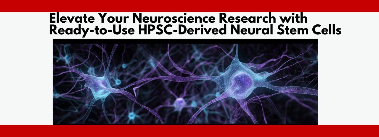 HPSC-Derived Neural Stem Cells