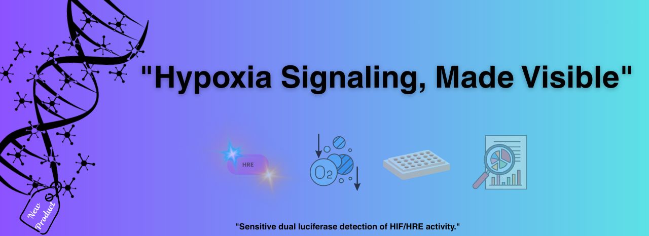 HRE Dual Reporter Vector