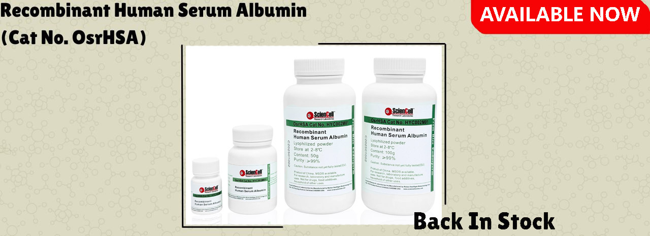 Recombinant Human Serum Albumin