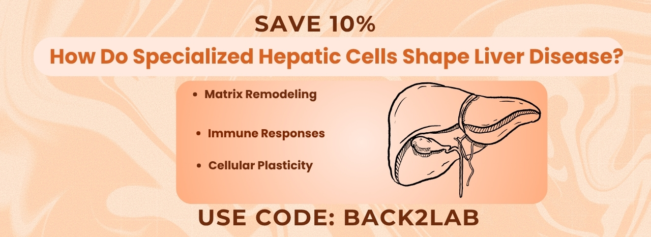 Hepatic Cells