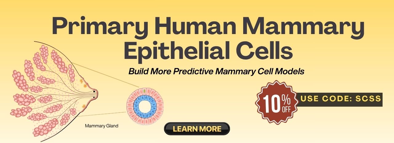 Mammary Epithelial Cells