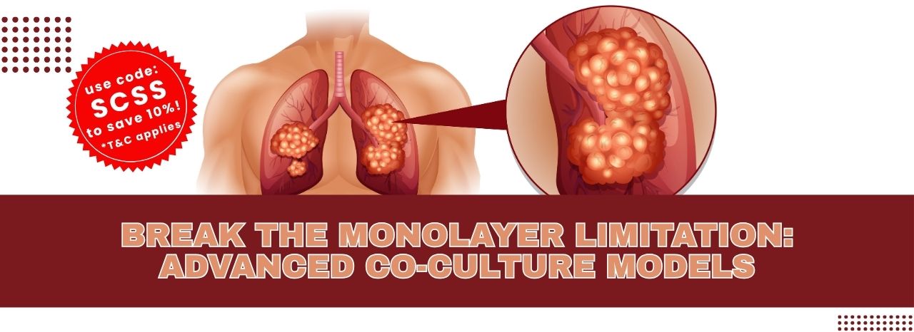 Monolayer Limitation