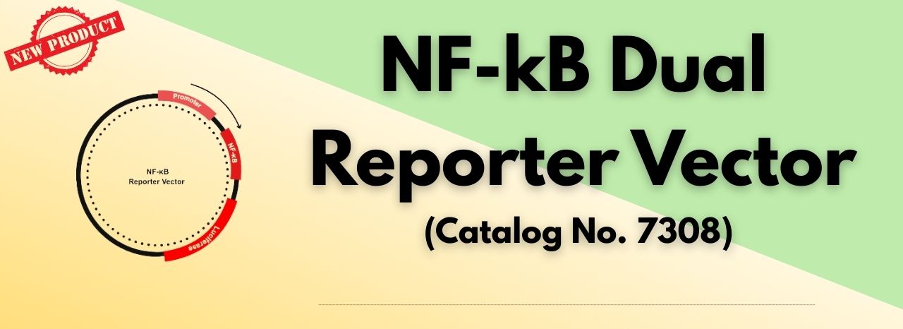 NF-kB