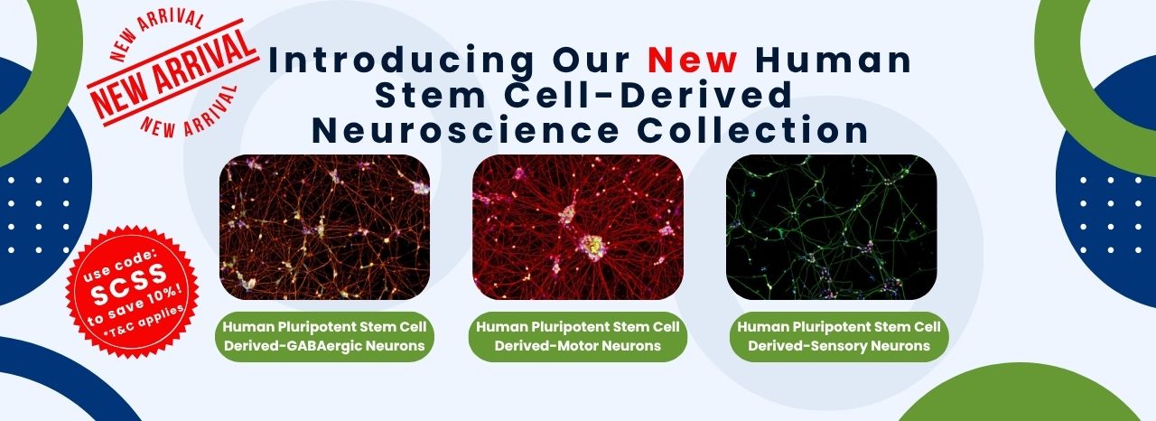Neuroscience