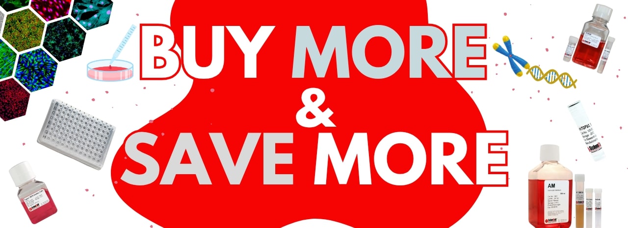 Bulk Discounts