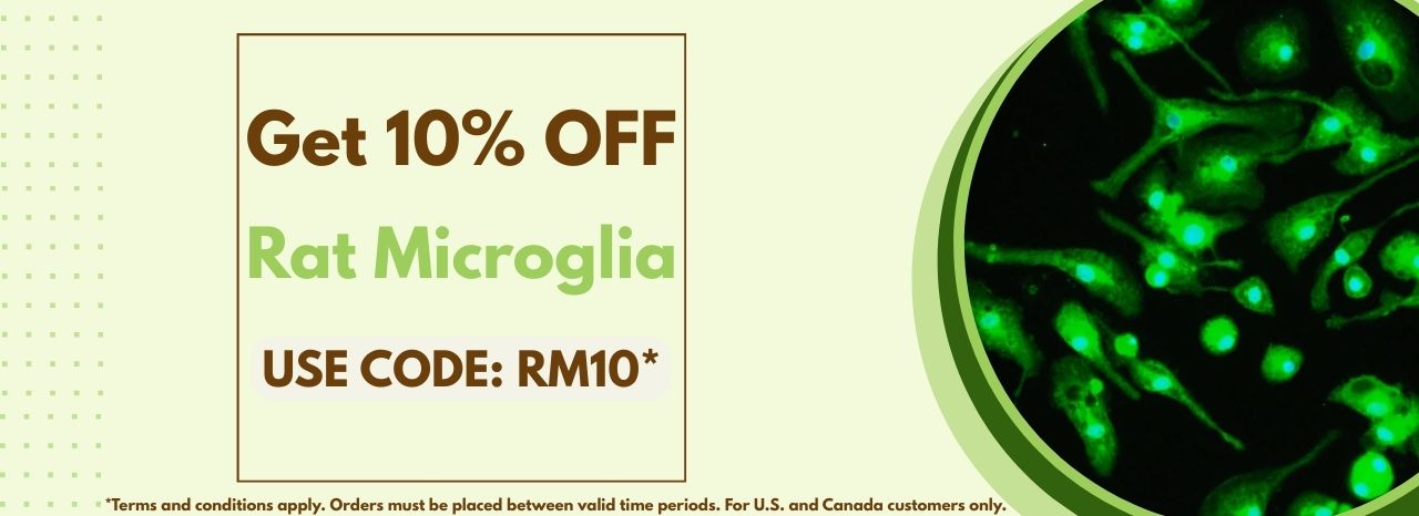 Get 10% off Rat Microglia Today!