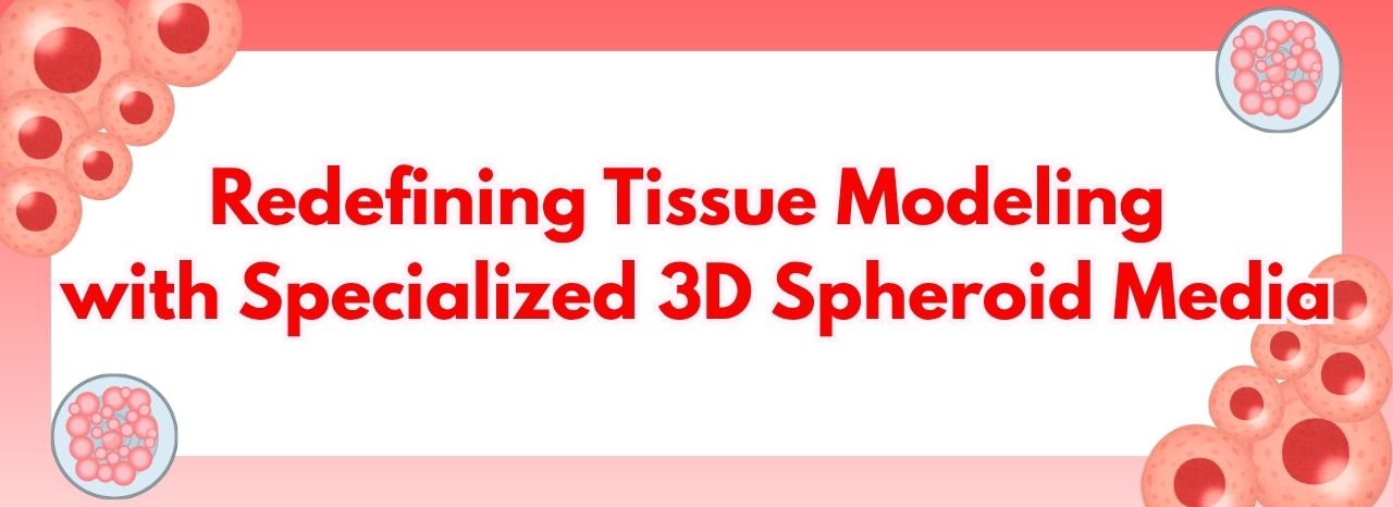 Specialized 3D Spheroid Media