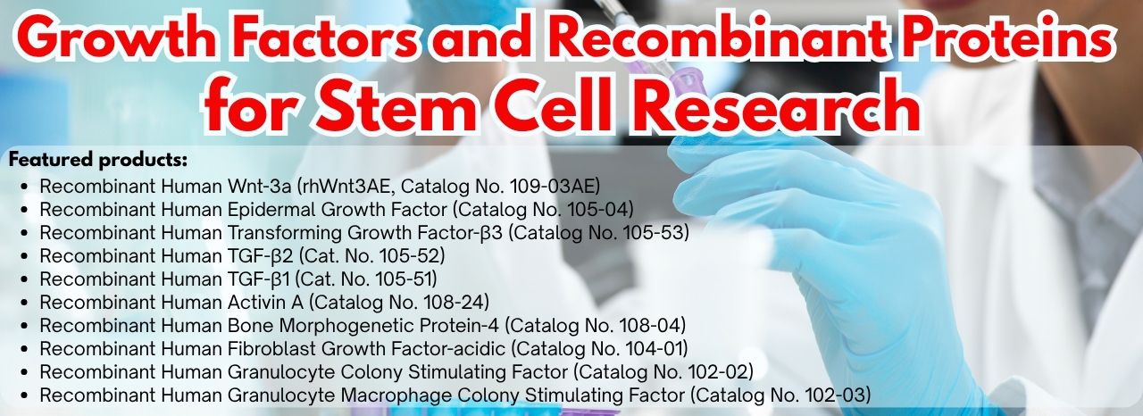 Growth Factor and Recombinant Proteins