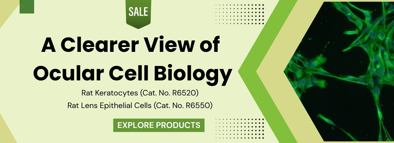 Ocular Cell Biology