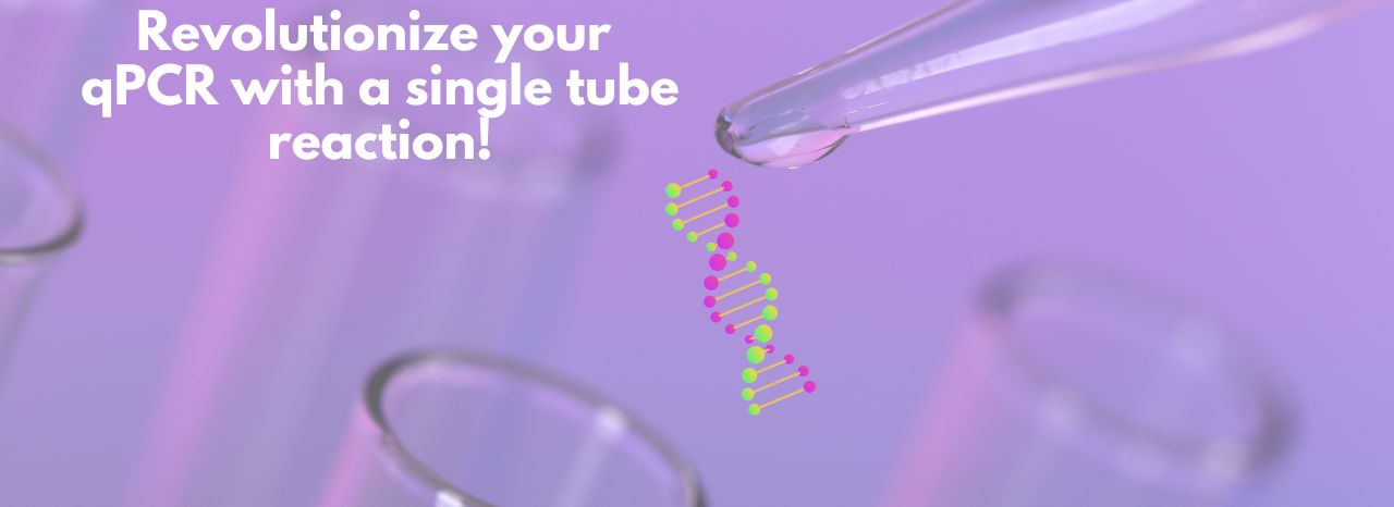 One-Step TaqProbe RT-qPCR Master Mix (4x) Catalog No. MB802 