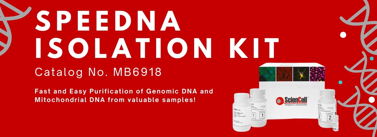 SpeeDNA Isolation Kit