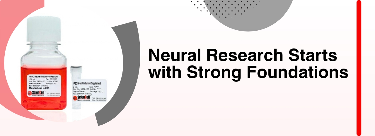 HPSC Neural Induction Medium