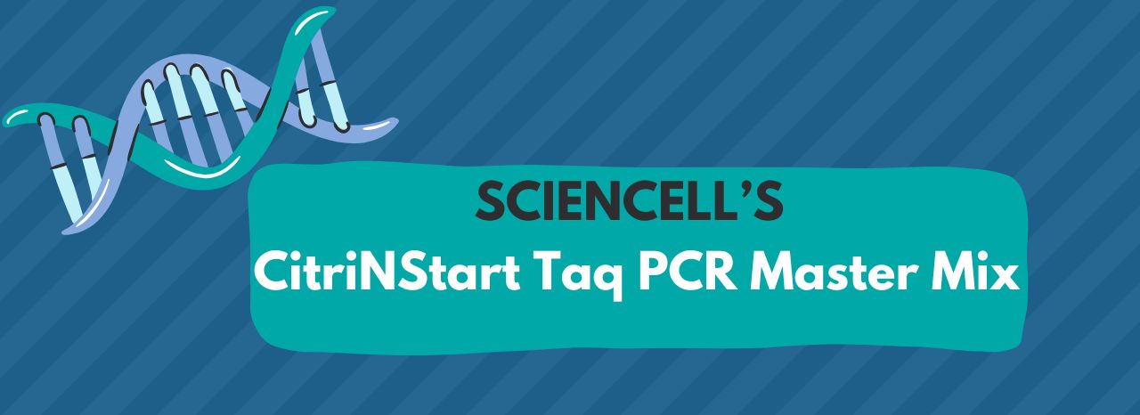 CitriNStart Taq PCR Master Mix
