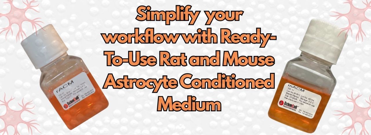 Ready to Use Rat and Mouse Astrocyte Conditioned Medium