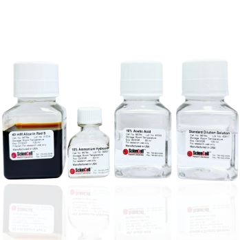 Catalog No: 8678 – Alizarin Red S Staining Quantification Assay