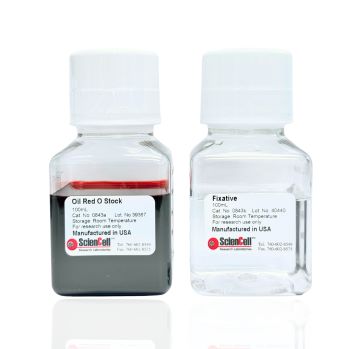 Catalog No: 0843 – Oil Red O Staining Kit