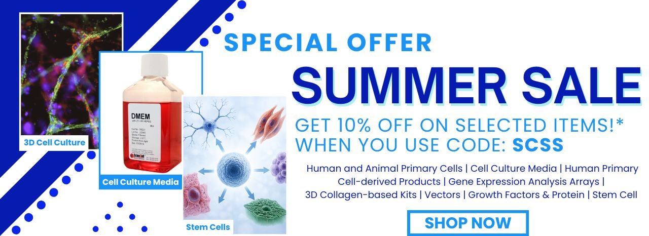 Summer Sale