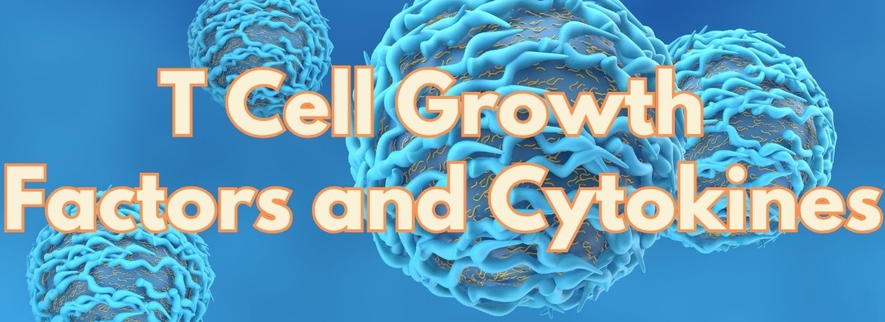 T-Cell growth