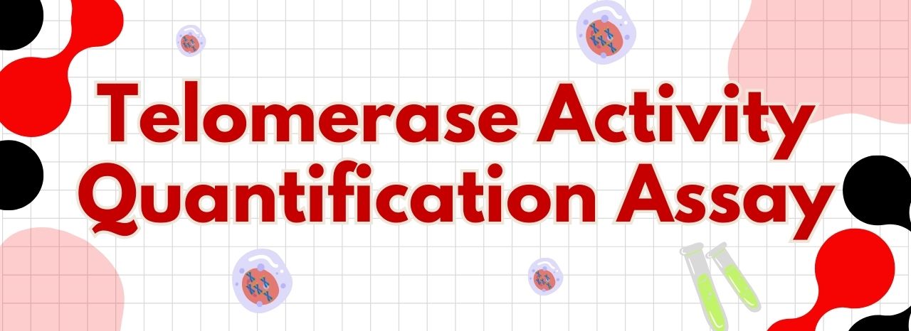 Telomerase Activity Quantification Assay