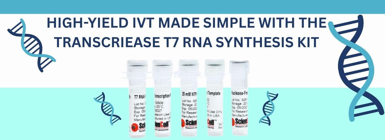 TranscriEase T7 RNA Synthesis Kit