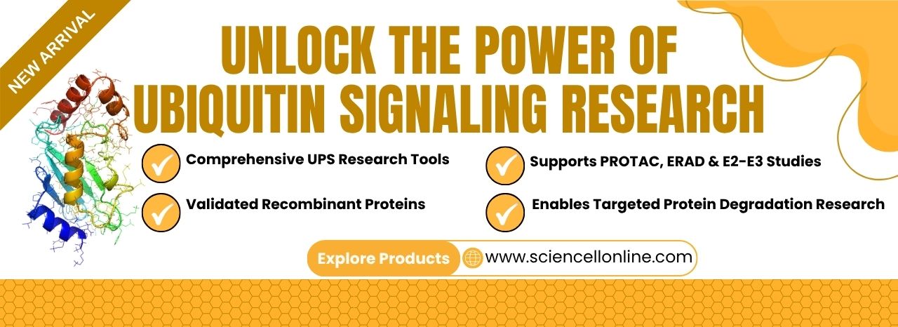 Ubiquitin Signaling Research