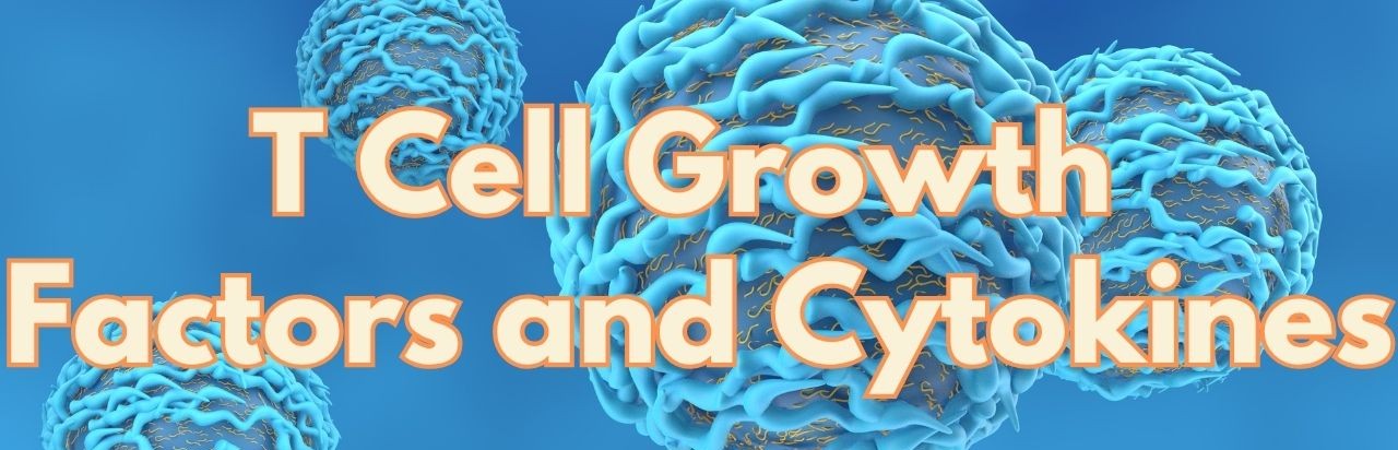 T-Cell growth