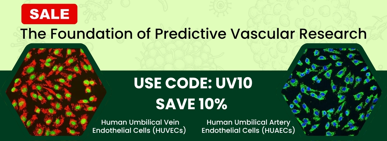 Vascular Research