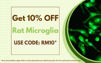 Get 10% off Rat Microglia Today!