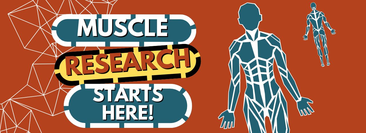 Muscle Research Starts Here