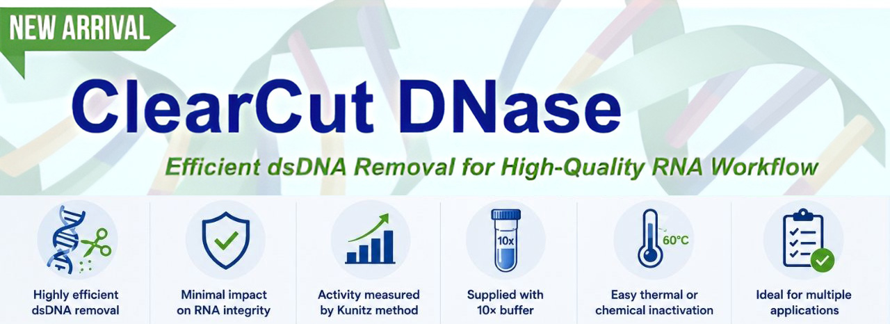 ClearCut DNase