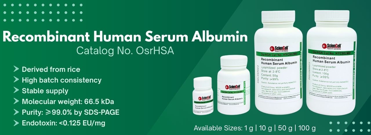 Recombinant Human Serum Albumin
