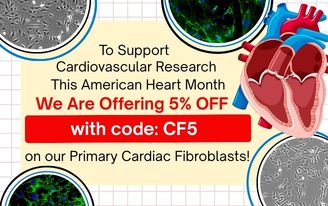 5% discount on our primary cardiac fibroblasts throughout February