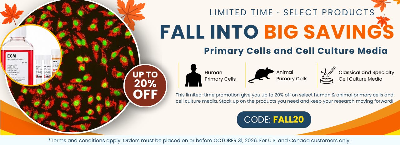 Fall Sale