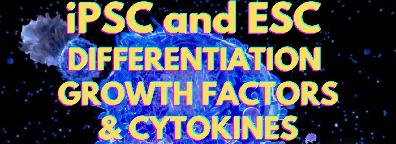 iPSC and ESC