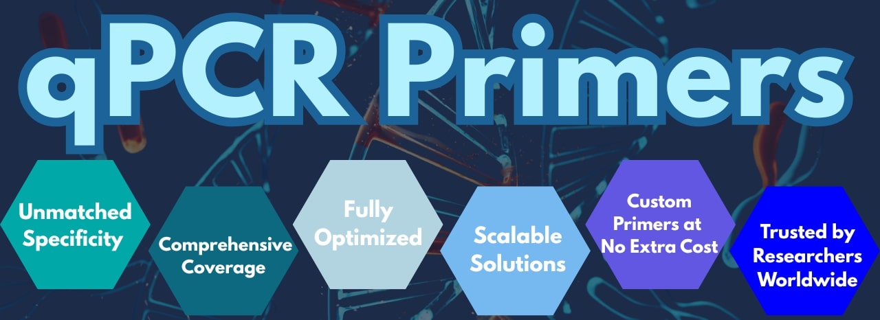 qPCR Primers