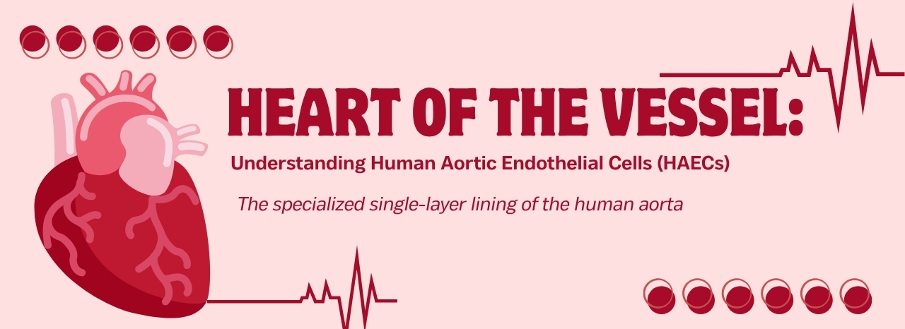 Hearth of the Vessel