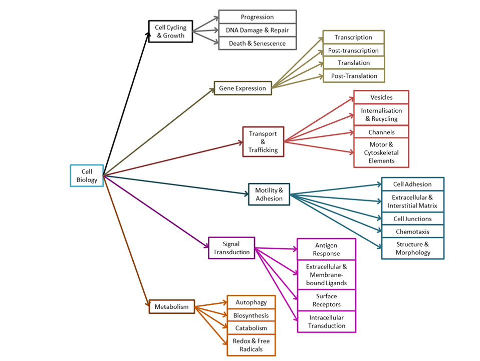 Cell Biology