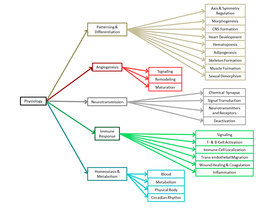 Physiology