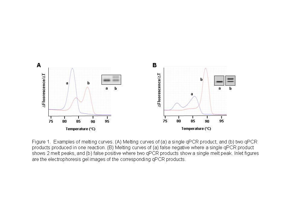Figure 1. Examples of melting curves. (A) Melting curves of (a) a single qPCR product, and (b) two qPCR products produced in one reaction. (B) Melting curves of (a) false negative where a single qPCR product shows 2 melt peaks, and (b) false positive where two qPCR products show a single melt peak. Inlet figures are the electrophoresis gel images of the corresponding qPCR products.