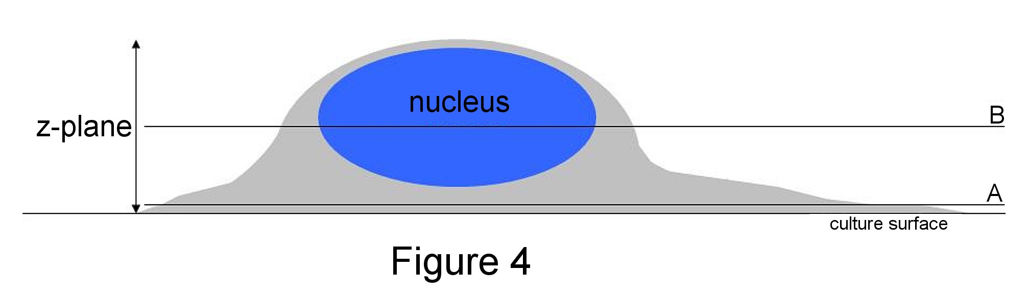 figure-4-final