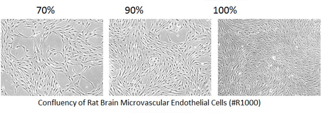 cells_confluency