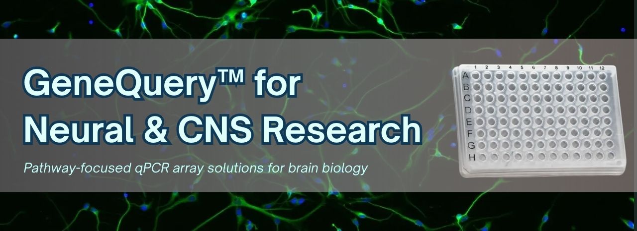 GeneQuery™: Comprehensive Solutions for Neural Biology and CNS Disease Research