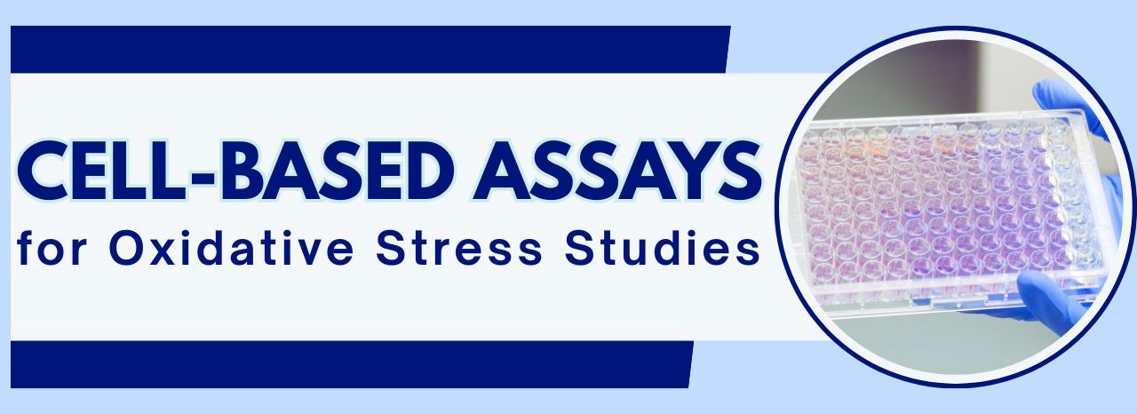 ScienCell's Cell-Based Assays for Oxidative Stress Studies!